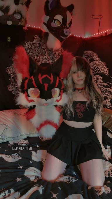 This little guy, Koji was my first fursuit  and what fueled my fursuit obsession ❤️ https://t.co/gLN