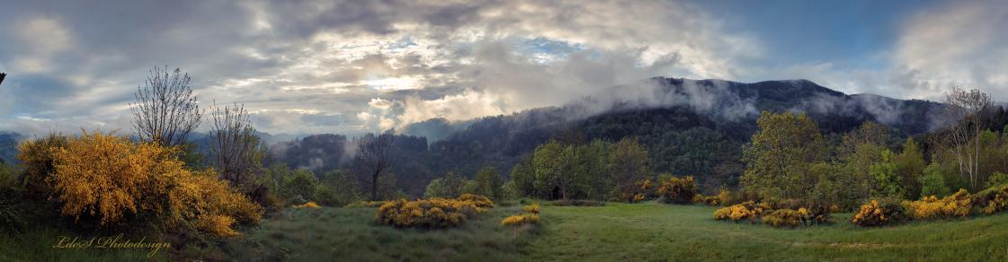 Météo de l'instant (Haute-Ardèche, 19h29).
#LandscapePhotography
#ThePhotoHour #StormHour
#NaturePhotography
@keeper_of_books #Trees
@PanoPhotos #Panorama
#MagnifiqueFrance
