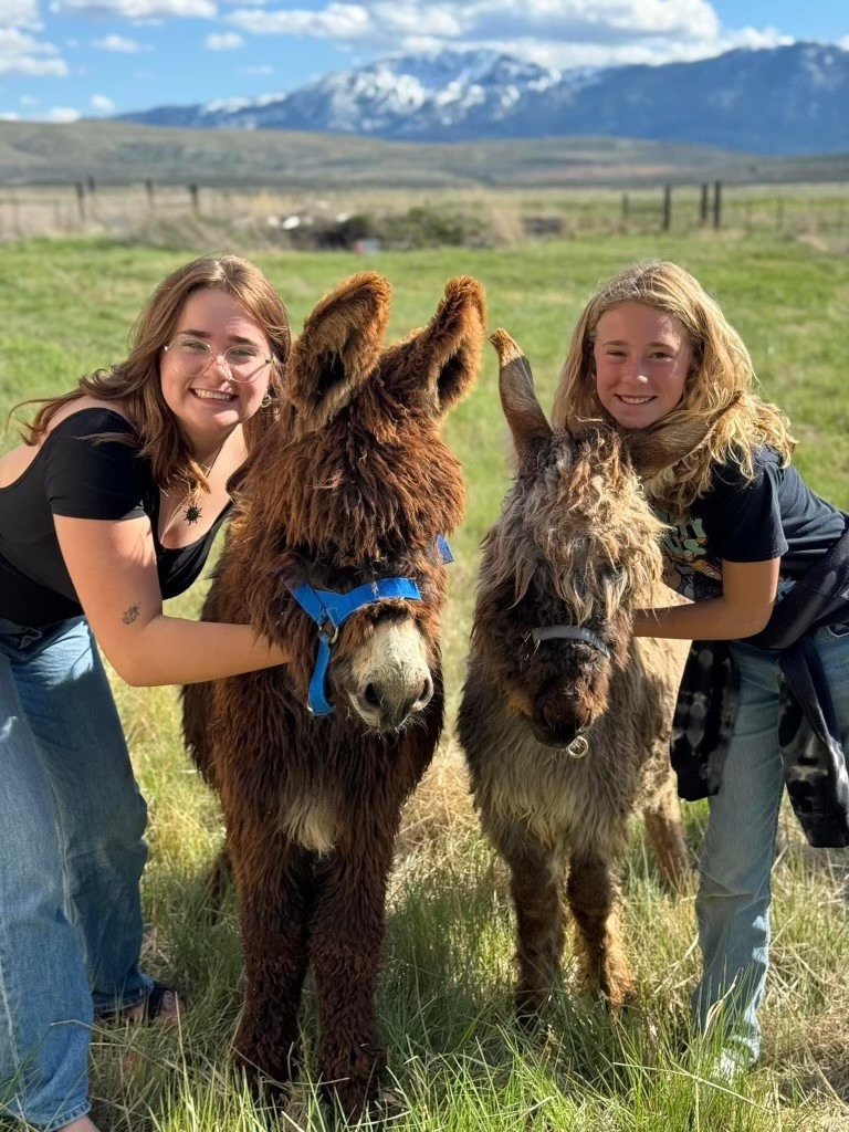 Cute & cuddly moments make life sweeter! 🐎 If you haven't thought about adopting a wild burro (or horse), here's a little push. Meet Mango & Ollie, who were born at the @BLMca Litchfield Corrals & adopted by Taryn and Jaxie! More ➡️ ow.ly/xF9W50RpzJO. @blmwhb