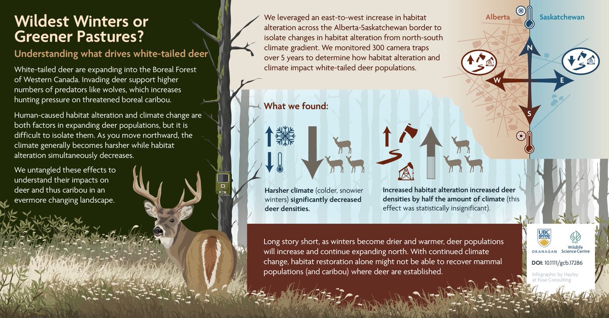On May 14, join Melanie Dickie for a webinar on the recent paper "Habitat alteration or climate: What drives the densities of an invading ungulate?".

Register here for info on how to join: us02web.zoom.us/meeting/regist…