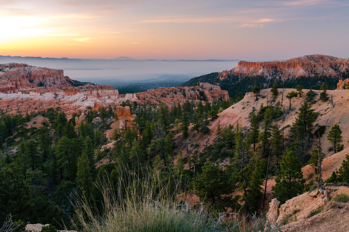 Show me your predawn shots!

Bryce Canyon National Park, Utah (6:05am)
#MyPhotoArchive #landscape #NatureBeauty #TwitterNaturePhotography #NaturePhotography #Nature #utah #ThePhotoHour @BryceCanyonNPS