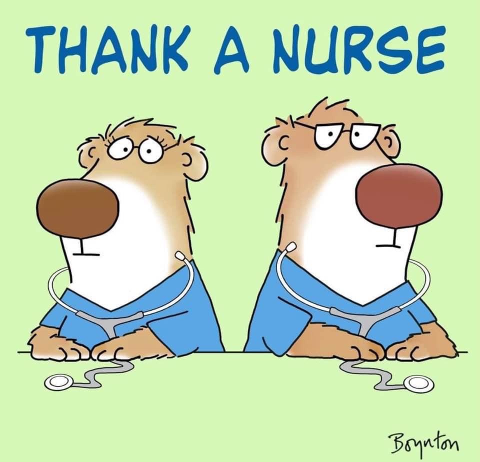 It’s National Nurses Day and I say THANK YOU!! 💟 Nurses are invaluable! @SanElizarioISD nurses are the best! 🩺❤️‍🩹