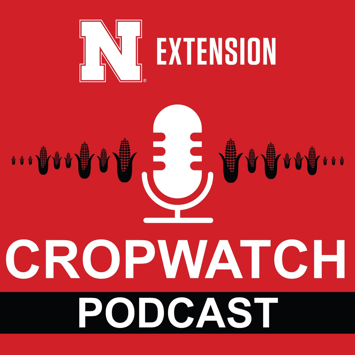 CropWatch Podcast Episode #119 | In this episode, our host Eric Hunt chats with Bryce Anderson, DTN ag meteorologist, about the #weather outlook for the 2024 growing season. Listen here » ow.ly/PyhR50RweWs #NebExt #newx #wx #ag #plant2024 #plant24