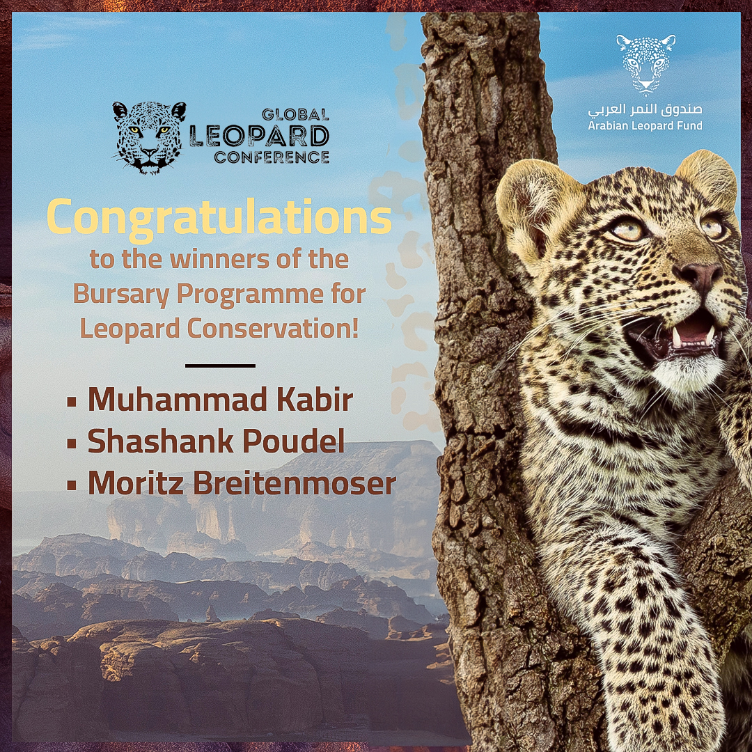 On #InternationalLeopardDay, the Global @LeopardConf announced the three winners of the Bursary Programme for Leopard Conservation, supported by the GLC and the ALF. We hope their projects will pave the way and inspire further initiatives in wildlife preservation.
