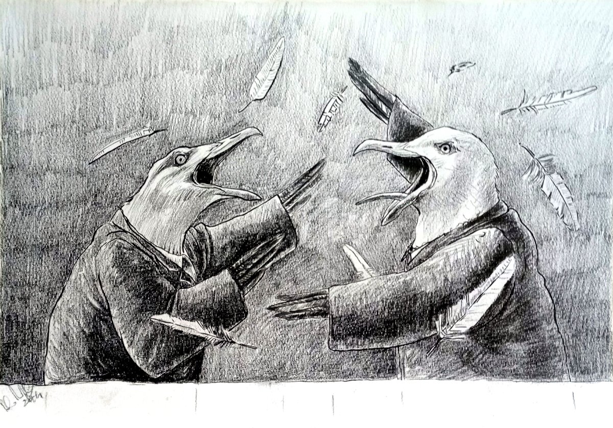 Seagulls fight
#drawing