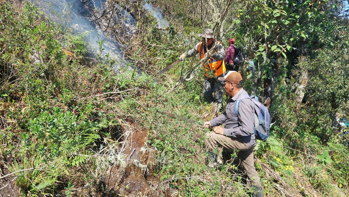 ¡Protegiendo nuestros bosques con valentía y compromiso! 🌳🫡🇬🇹 Quinta Brigada de Infantería del #EjércitoGT, en coordinación con comunitarios del municipio de San Mateo Ixtatán, #Huehuetenango, en acciones de supresión de incendio forestal.