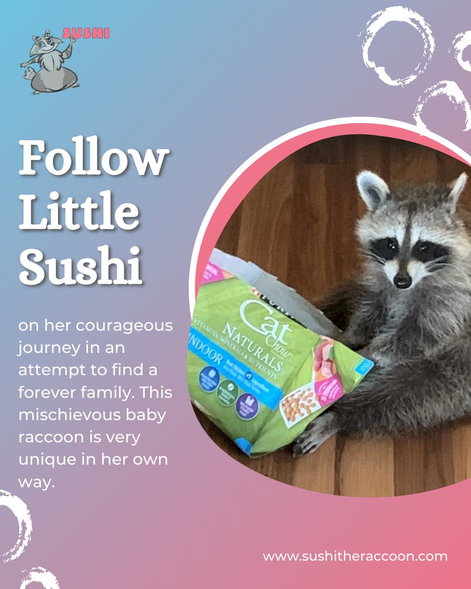 Discover the heartwarming tale of Little Sushi, a mischievous baby raccoon, as she embarks on a courageous journey in search of her forever family. . Buy Now bit.ly/41FqbR3. . #sushisjourneyhome #adventuresinlove #uniquebabyraccoon #outdooradventures #mishapsandlove