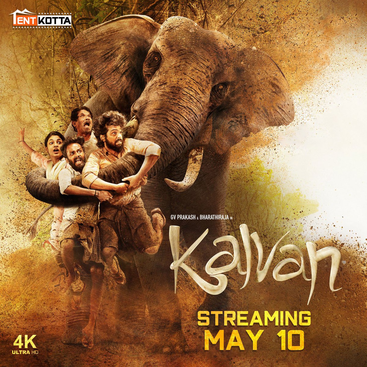 GV Prakash’s #Kalvan will be streaming from May 10 on TENTKOTTA.