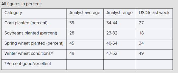 Karen Braun tweet media