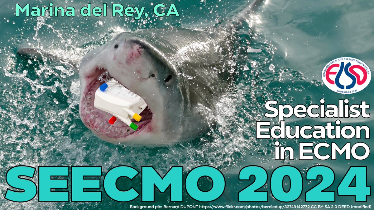 📢Less than a month to 34th Specialist Education in #ECMO conference #SEECMO2024
Still time to register! DON'T miss
🖥️ Virtual option if not able join live
🏆 Top Gun Competition
🗓️ June 1-2 SEECMO
🗓️ May 31 2nd UCLA ECMO symposium
🗺️ Marina del Rey, CA
🔗 bit.ly/4bYQGpx