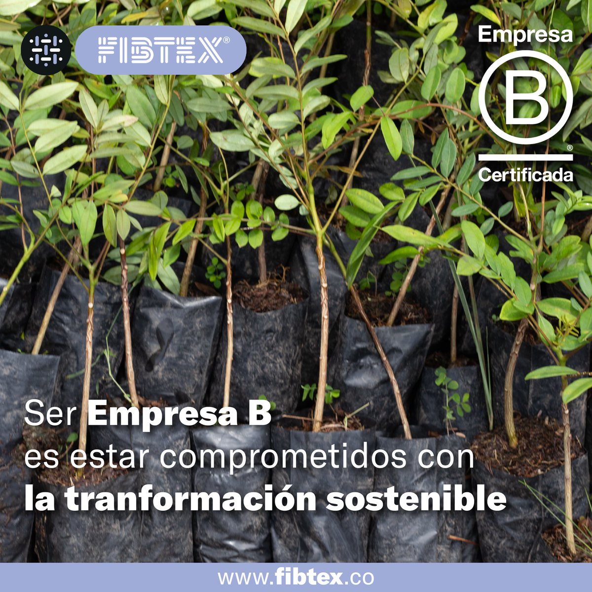 Ser una Empresa B significa comprometernos con un modelo de negocio que prioriza el bienestar de las personas y del planeta por encima de todo. Estamos orgullosos de ser parte de esta comunidad de empresas que buscan generar un impacto positivo en el mundo. 

#EmpresaB