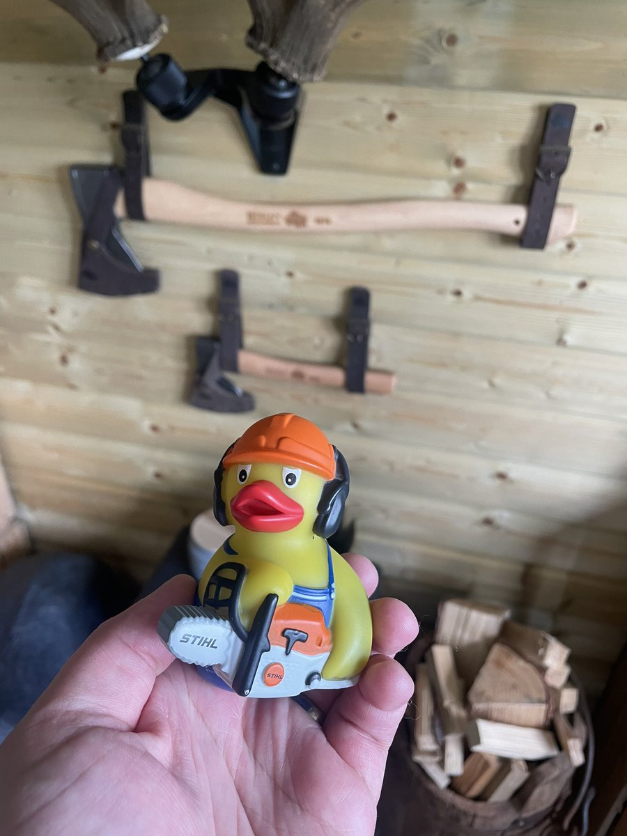 Came across this Stihl Chainsaw official duck for 50p… when I said I’d definitely be sharing it to my social media the lady looked at me funny 🤣 

#outdoorprofessionalproducts #sawsandaxes #chainsawduck #arb #arborist #arboriculture #forester #forestry #gardener #gardening