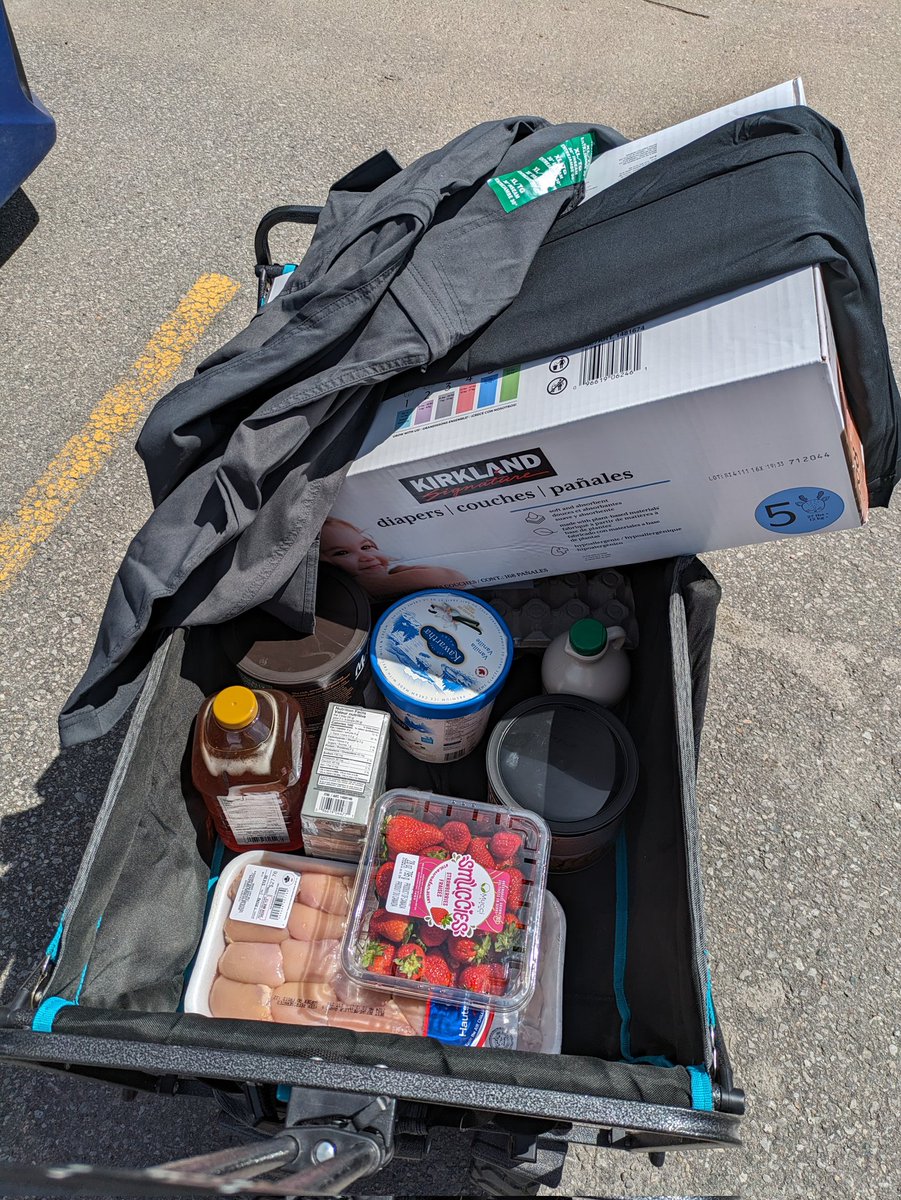 On this week's episode of 'how much did this grocery trip cost us' 

Anyone want to guess how much this was? #inflation #costoflivingcrisis #trudeaubrokecanada