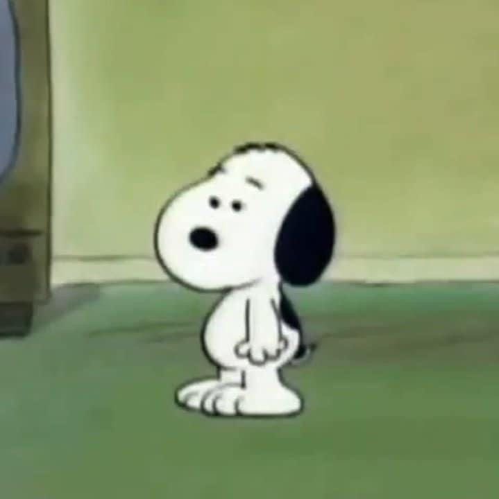 snoopy image of the day