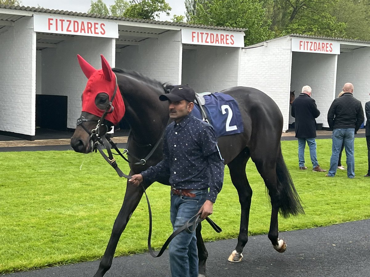 <a href="/ThomasbellFert/">Thomas Bell and Sons</a> <a href="/Diamondfertilis/">Diamond Fertilisers</a> He did very well #amajorpayne