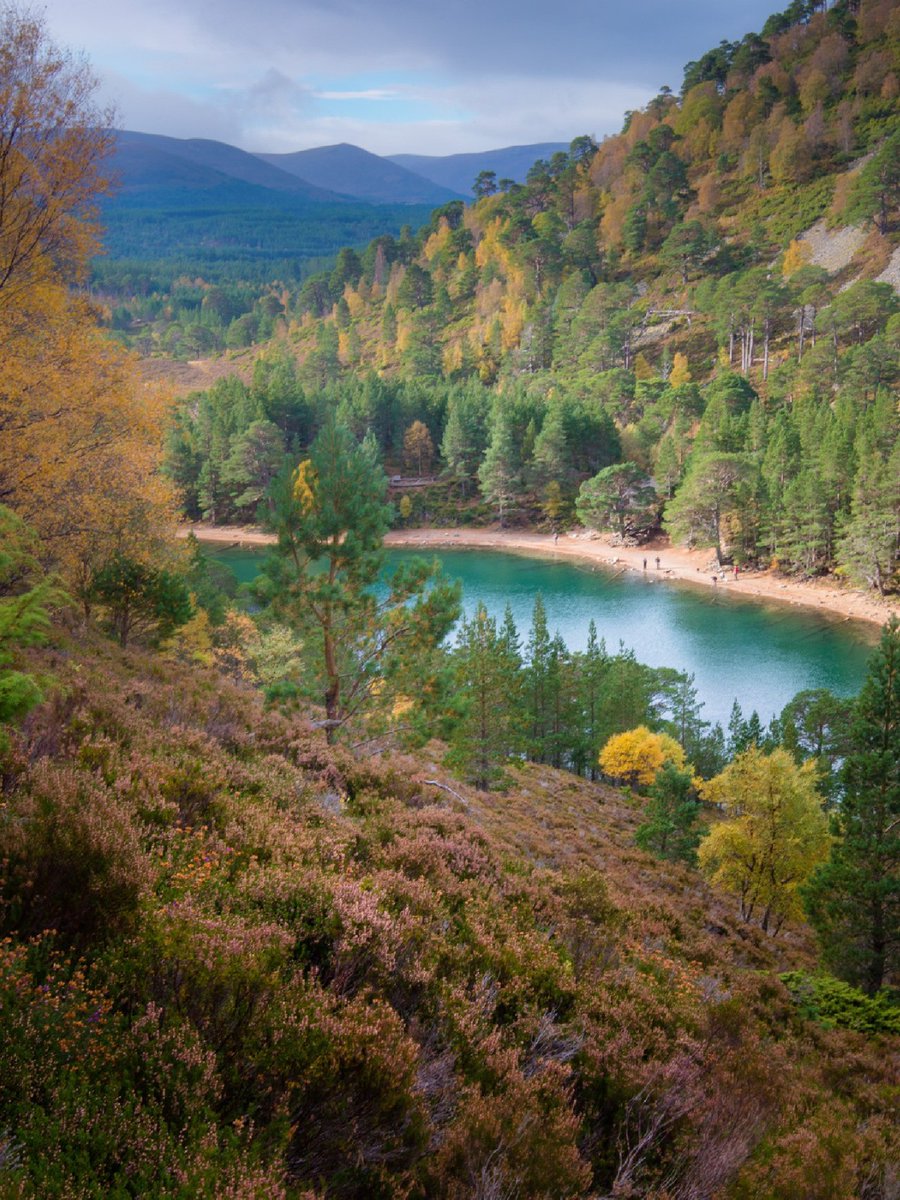 #Scotland is full of magical places like An Lochan Uaine (The Green Loch)! 😍💚 📍 @VisitCairngrms 📷 VisitScotland #ScotlandIsCalling