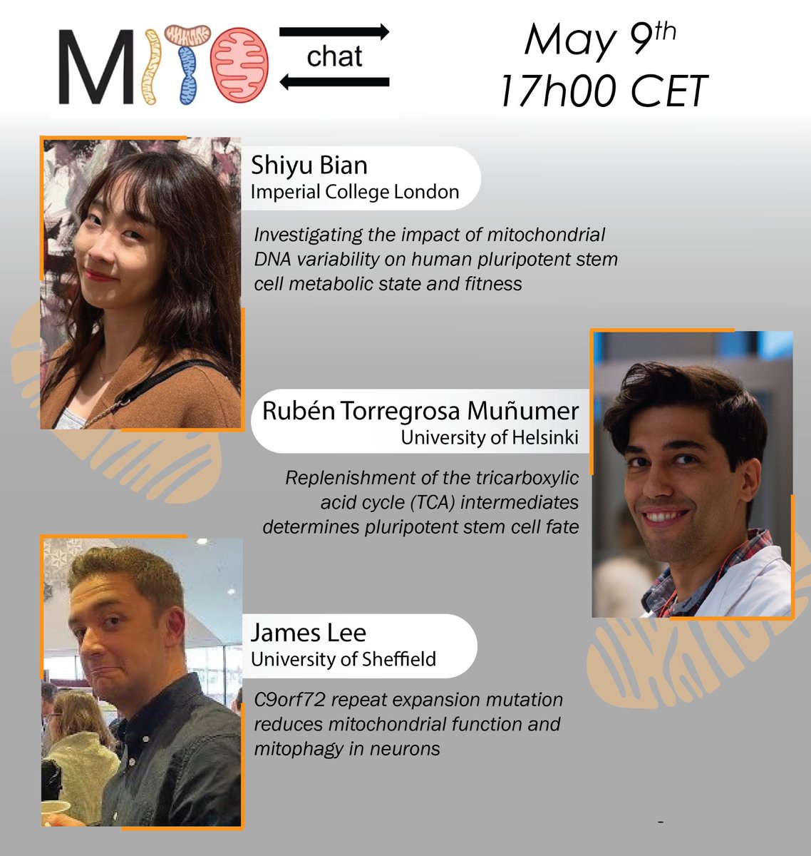 MitOtalks's tweet image. MITOchats are back this Thursday! Please join us for three short talks presented by Shiyu Bian, Rubén Torregrosa Muñumer @RuTorregrosa and James Lee @NeuronalLee. Zoom link now available on mitotalks.org