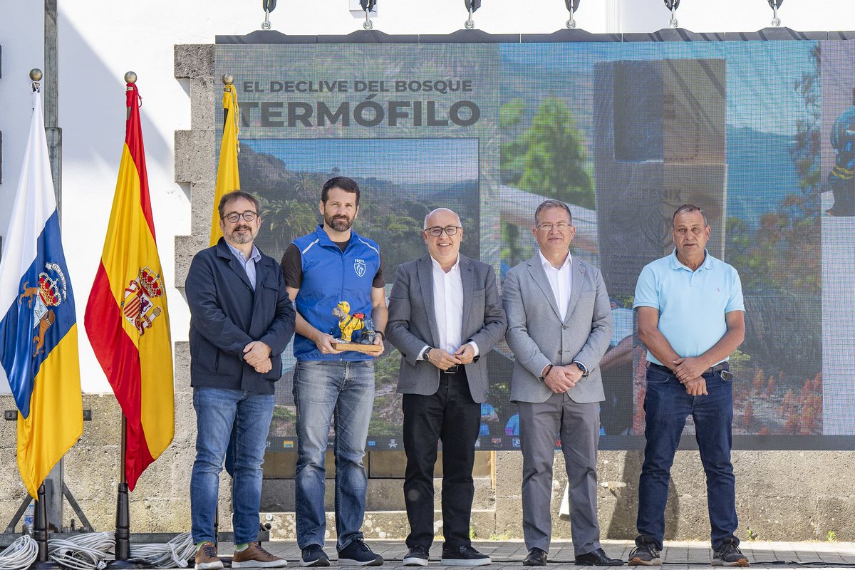 Fénix Canarias tweet media