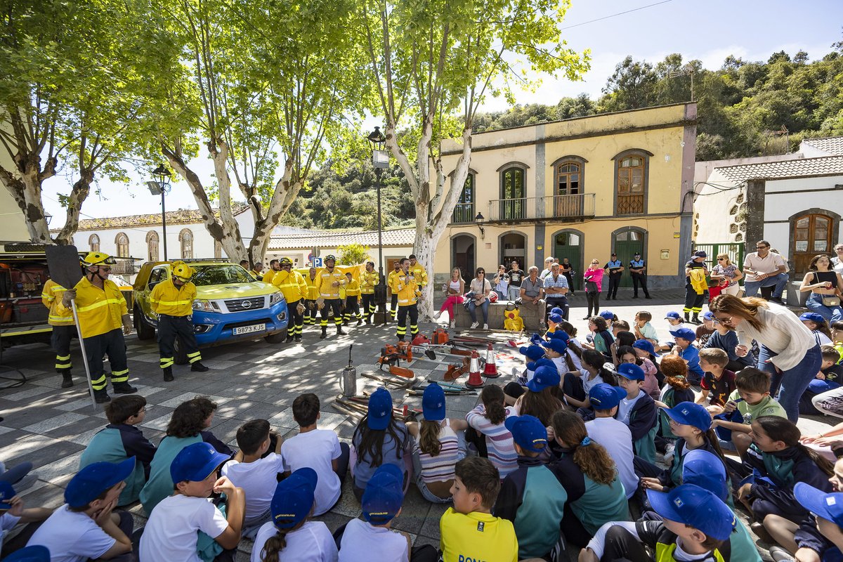 Fénix Canarias tweet media