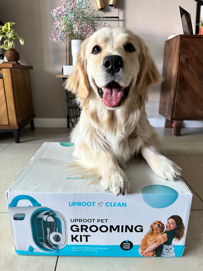 Happpyyyy Monday!!! Who's excited for Amazon's Pet Day this week?!?!?! The deals are starting tomorrow and we cannot wait! @lucuma_theretriver #amazonpetday #petday #amazonpetday2024 #petproducts #pethairremovers #pethairremovaltools