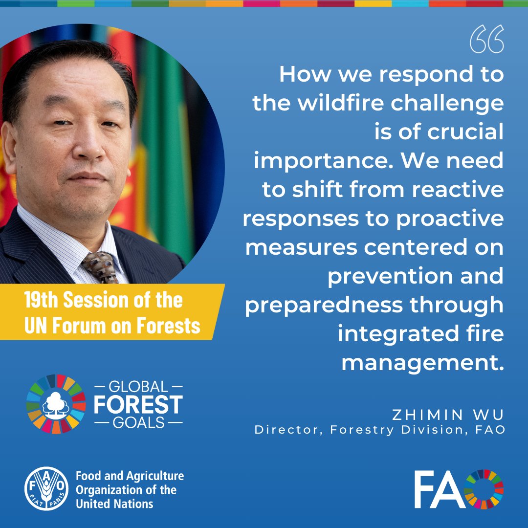 How we respond to the #wildfire challenge is of crucial importance. We need to shift from reactive responses to proactive measures centered on prevention & preparedness through integrated fire management, @FAO’s Zhimin Wu tells #UNFF19 event @itto_sfm #GlobalFireHub @FAONewYork