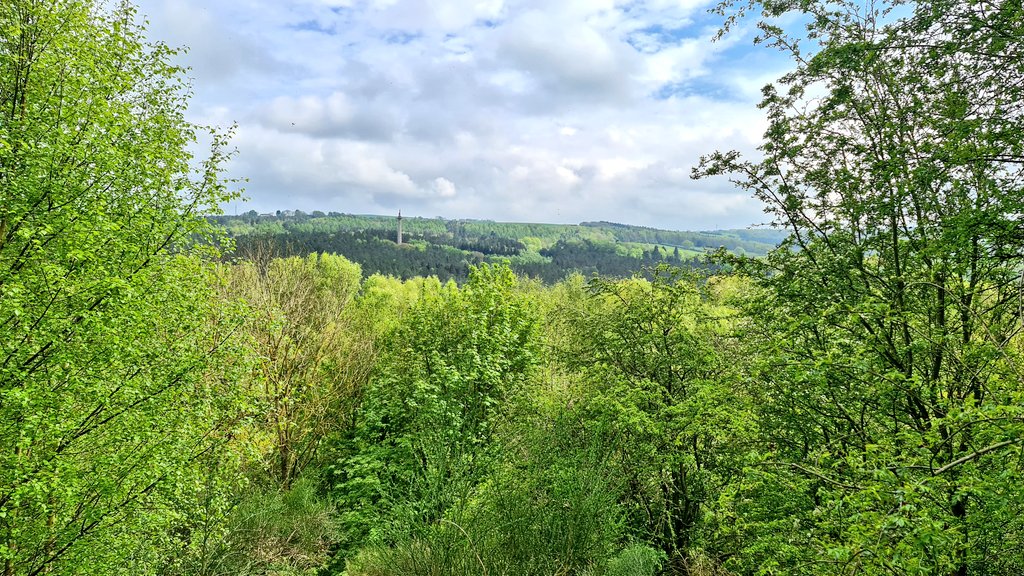 Everyone needs a 'Happy Place'. Thankfully the weather defied the forecasts today and remained rain free for my walk @Gateshead #DerwentValleyCountryPark #TwitterNatureCommunity  📸 #SamsungGalaxy