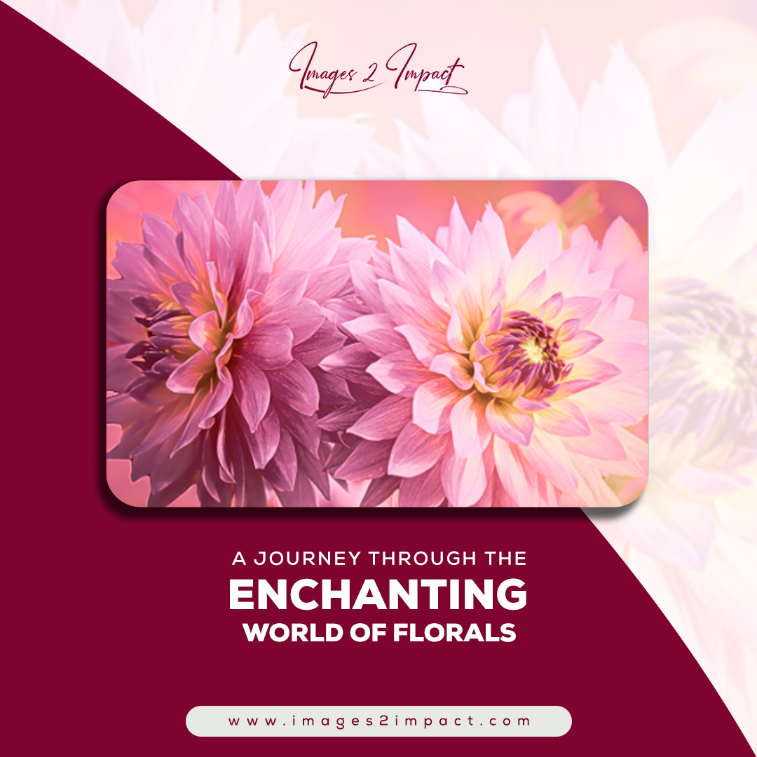 Captivated by the beauty of flowers, each step on this journey through the enchanting world of florals feels like a fairytale.
Visit Now: images2impact.com
#FlowerFairytale #EnchantedFlorals #BlossomJourney #FloralMagic #CaptivatingBlooms #FairytaleFlowers #FloralFantasy