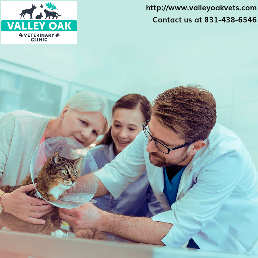 Count on our experienced veterinarians to deliver swift and effective treatment for your pet's emergencies.
Don't hesitate – call us for emergency pet care today! 📱 #EmergencyAndCriticalCare #EmergencyCare #PetVets 
 #ValleyOakVeterinaryClinic