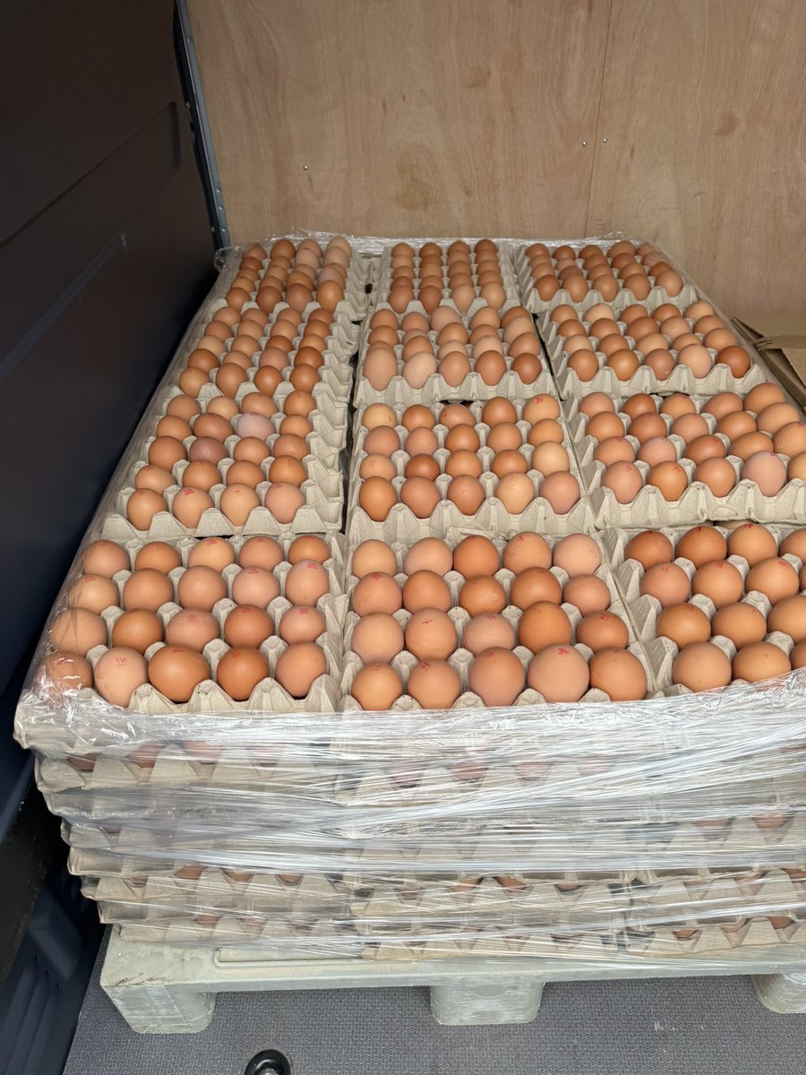 First Anglesey New potatoes of the season collected tonight & our amazing eggs that we sell hundreds of every week 👌👌👌👌👌👌👌