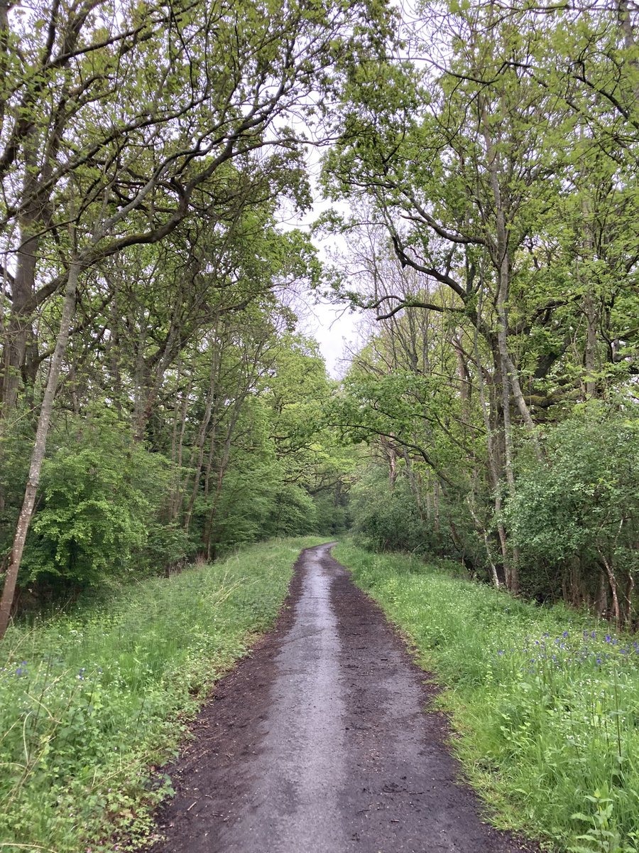 Lovely training walk today for my #75milesin24hours challenge in June! I’m raising money for @NatTrailsUK @uknationalparks and #NationalLandscapes to mark their 75th anniversary. Anything you can give is very much appreciated givestar.io/gs/75-miles-in…