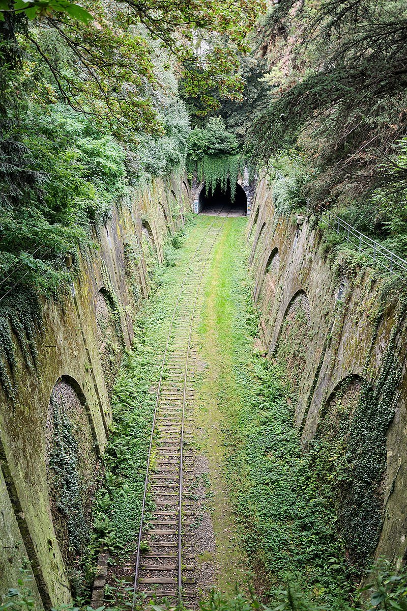 Who dares descend the depths? Deep Secrets & Mysteries Revealed Inside - only for the bold #ParisFrance
 #Paris2024 #ParisOlympics2024 #Underworld #party #ghosts #poets #JimMorrison #vampires #witches #rocknroll #chopin #edithpiaf #undead #underground #danceparty #Underworld