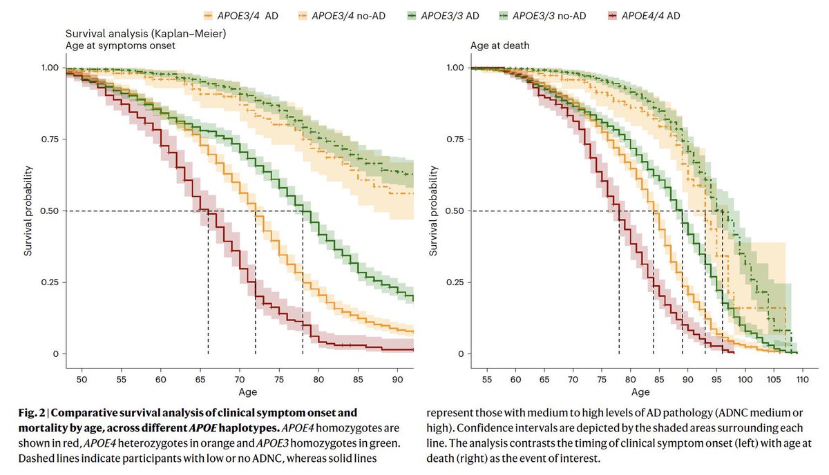 New <a href="/NatureMedicine/">Nature Medicine</a> study shows nearly full penetrance of #Alzheimers biology in APOE4 homozygotes, with significant AD biomarkers from age 55. 

Early and distinct biomarker profiles make effective targeted prevention strategies even more crucial now.

nature.com/articles/s4159…