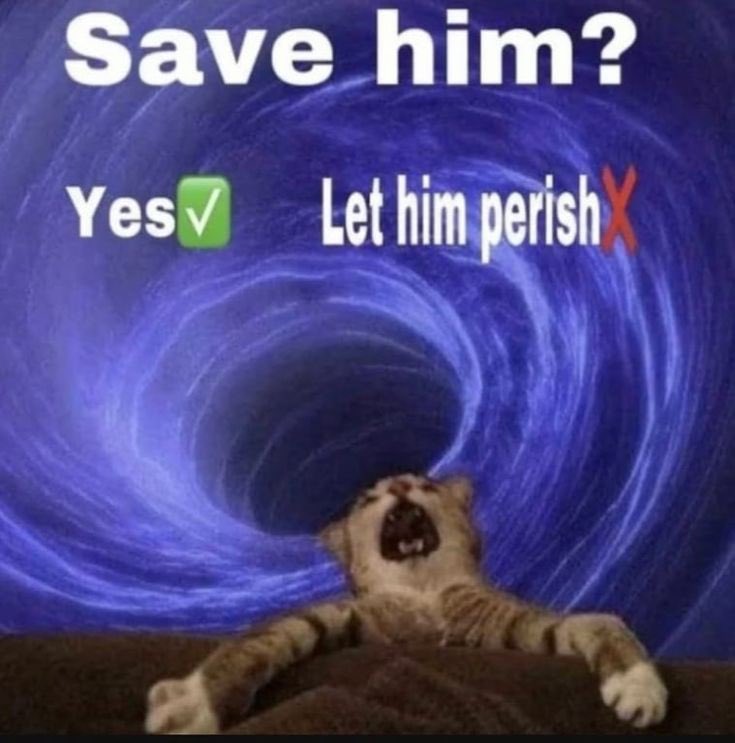 Chat, would you save him?