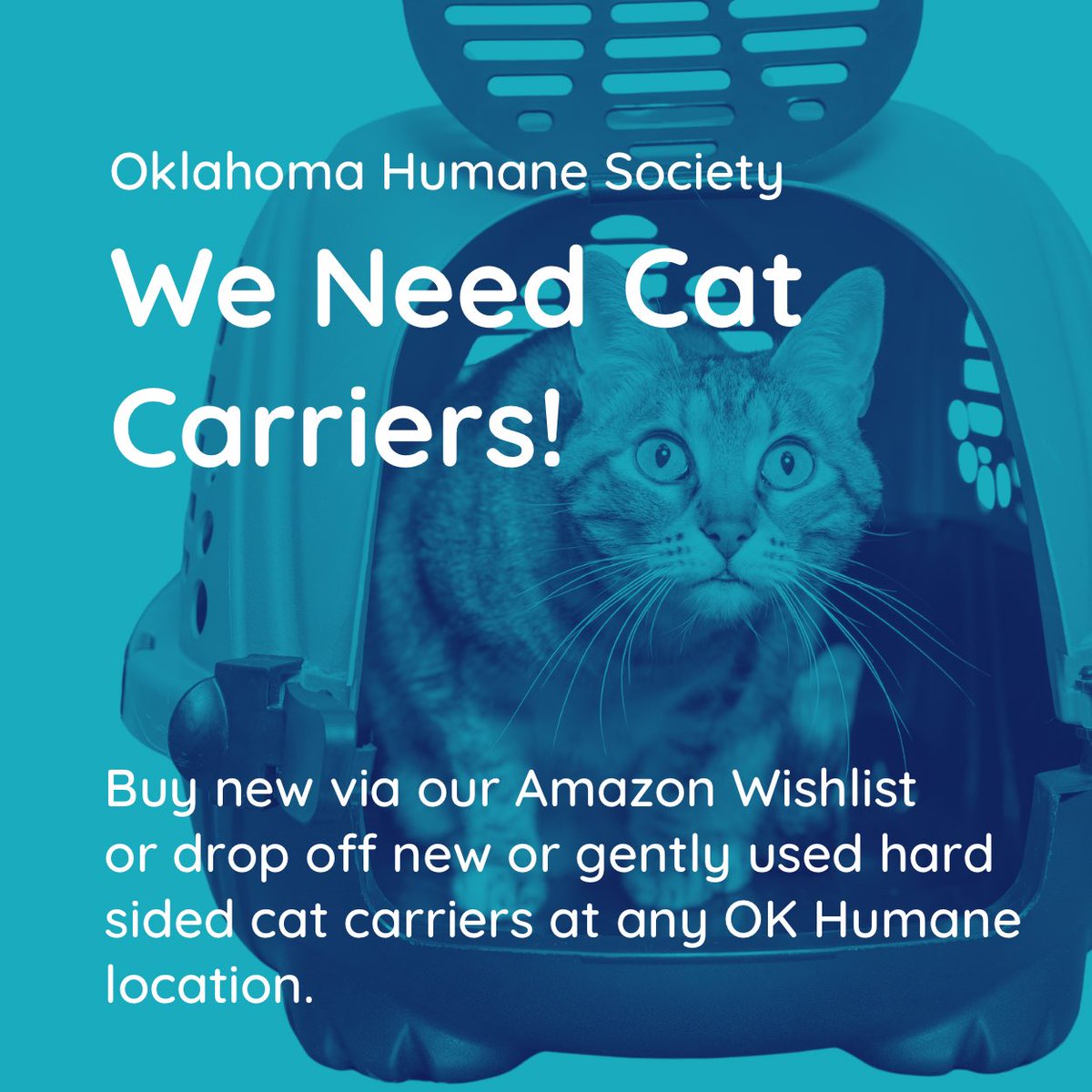 We need hard sided cat carriers! You can help by ordering hard sided cat carriers off our Amazon Wishlist or by dropping off new or gently used hard sided cat carriers at any OK Humane location! Thank you for the support! Amazon Wishlist: amzn.to/3PA7lXI