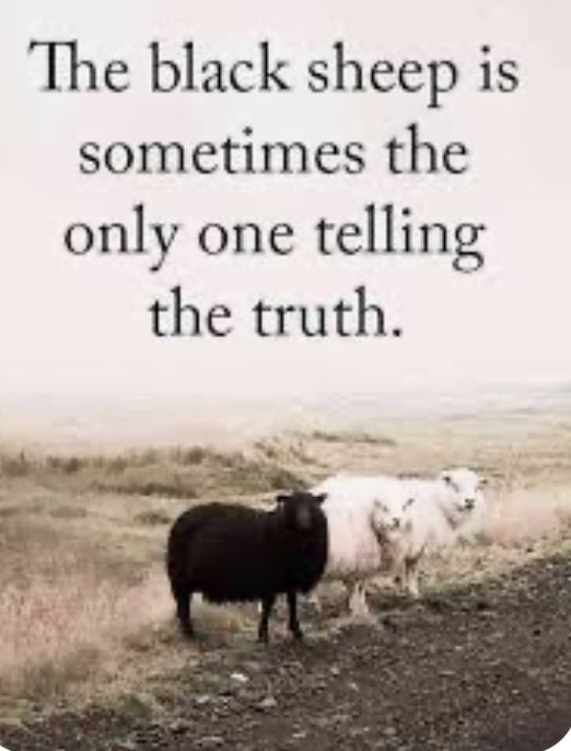 🎯👇 #blacksheep #truthtellers #canseethroughthebullshit
