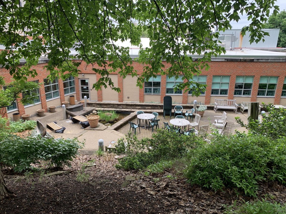 Did you know the library has a courtyard? Next time you visit, you might want to start a new book in the fresh air.