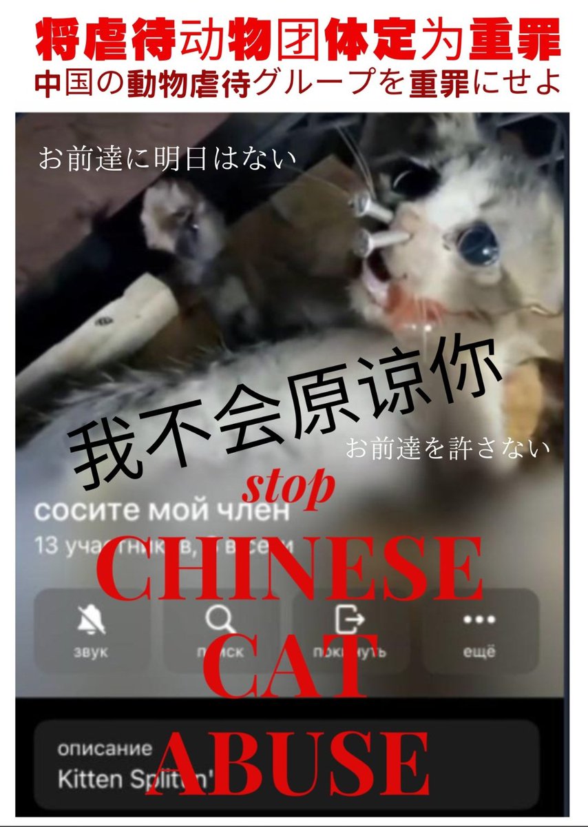 @SpokespersonCHN #animalcruelty #Paris2024 #ChinaFrance60 #china #stopyulin #Chinesecatabusegroup