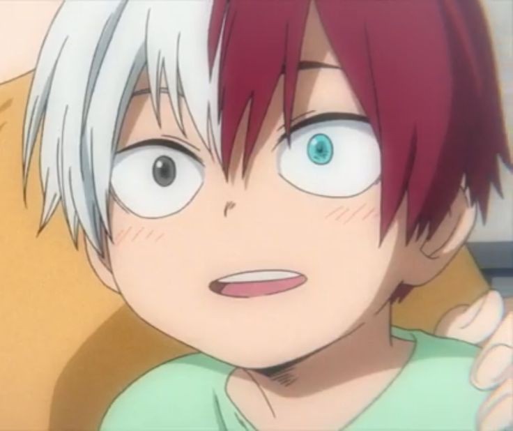 baby shouto must be protected at all costs