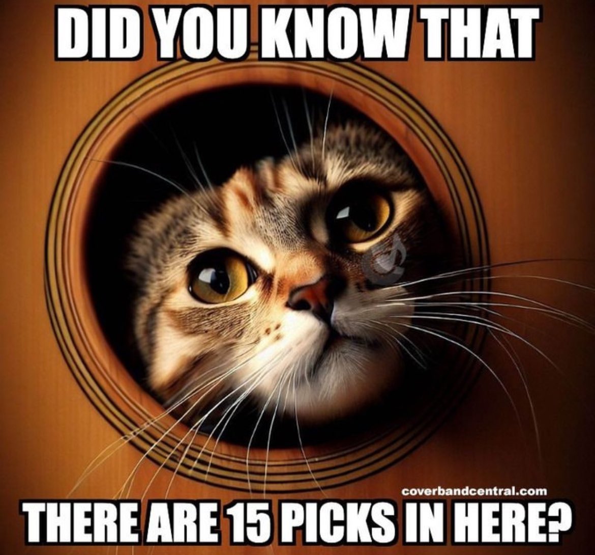 So that’s where they all went!!!

#music #musicmeme #guitar #guitarpick #coverbandcentral #monday #motivation #musiclessons #ottawa #AlcornMusic #growingmusicians