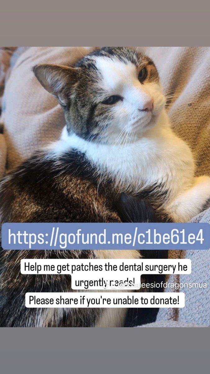gofund.me/c1be61e4

Even if all you can do is share, any help is greatly appreciated!

#donate #CatsOfTwitter #GoFundMe
#gofundmedonations  #GoFundMeSuccess
#Caturday
#cats