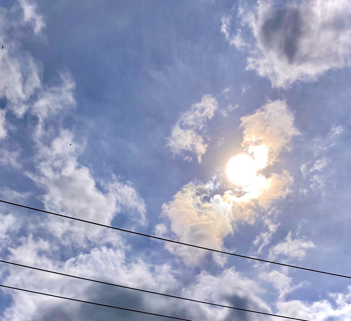 #NaturePhotography
#Naturephotography
#photography #Photography 
#nature #naturelovers
#bluesky #sky #sunrays #Monday 
#cottoncandyclouds #outside #seasons 
#May #naturesbeauty #telephonewire
#Spring #sun #suncolors #clouds