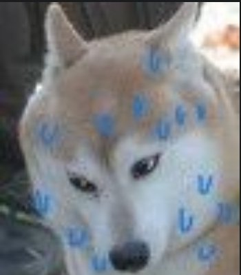 虽然画得很潦草但大家都懂的吧