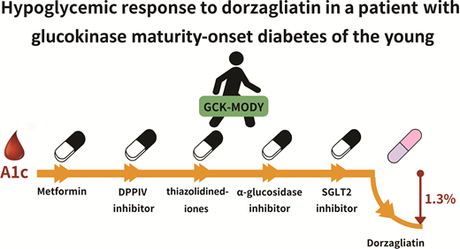 Metformin, SGLT2i, DPPIVi, TZD, and Acarbose were ineffective, whereas dorzagliatin safely lowered A1c in a GCK-MODY patient, suggesting a potential precision therapy of GCK-MODY with dorzagliatin. @ADA_Pubs Read Here➡️doi.org/10.2337/dc23-2…