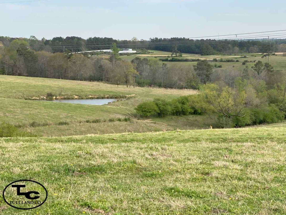 77.60 +/- Acres - Blount County, AL - $450,000
Tim Smith 256-558-9242
Located off Parrish Rd.
buff.ly/3JlbytU 
#trustedlandprofessionals #tuttlandco #landforsale #forsaleinalabama #blountcounty