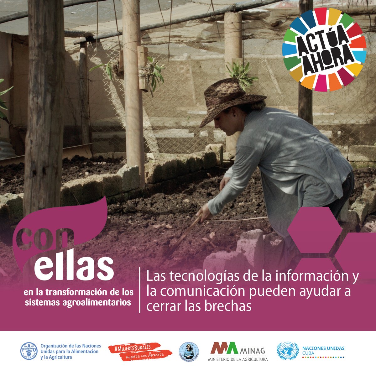 🟣Es fundamental avanzar hacia procesos de transformación digital inclusivos que garanticen el acceso de las mujeres rurales a las TIC y fortalezcan sus habilidades para utilizarlas. 👩‍💻

#ConEllas en la transformación de los sistemas agroalimentarios 
#ActuaAhora #MujeresRurales