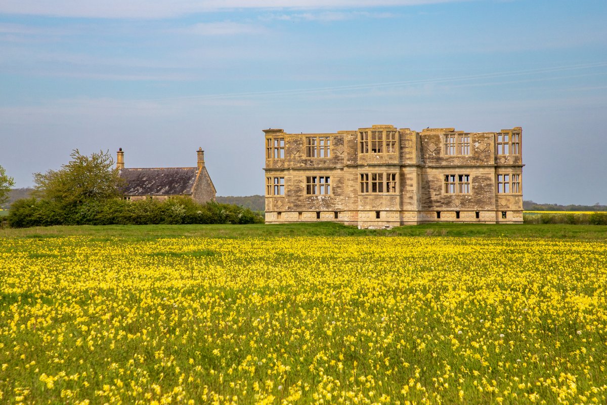 A field of gold @NTLyveden. Have you walked among cowslips yet this spring?