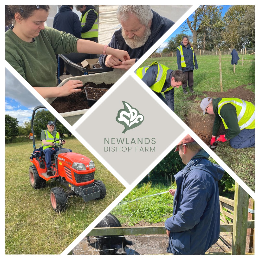 @farmnbf provides a wide range of activities for adults with learning disabilities to access to develop their social, work and life skills through work based tasks such as horticulture, animal care and woodwork.