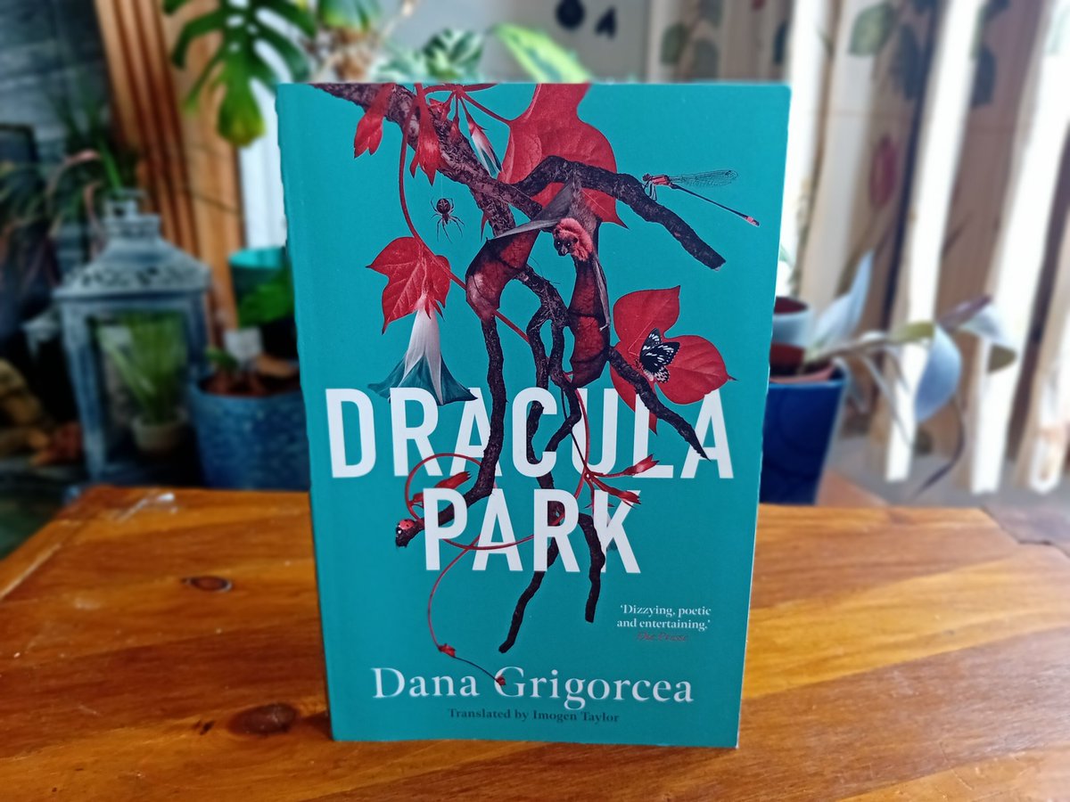 April Reading #2: Who doesn't love a Dracula story? This award-winning book from @dana_grigorcea is set in post-Communist Transylvania, and focuses on the local politics of the Dracula legend, before getting a little bit supernatural... #amreading @sandstonepress