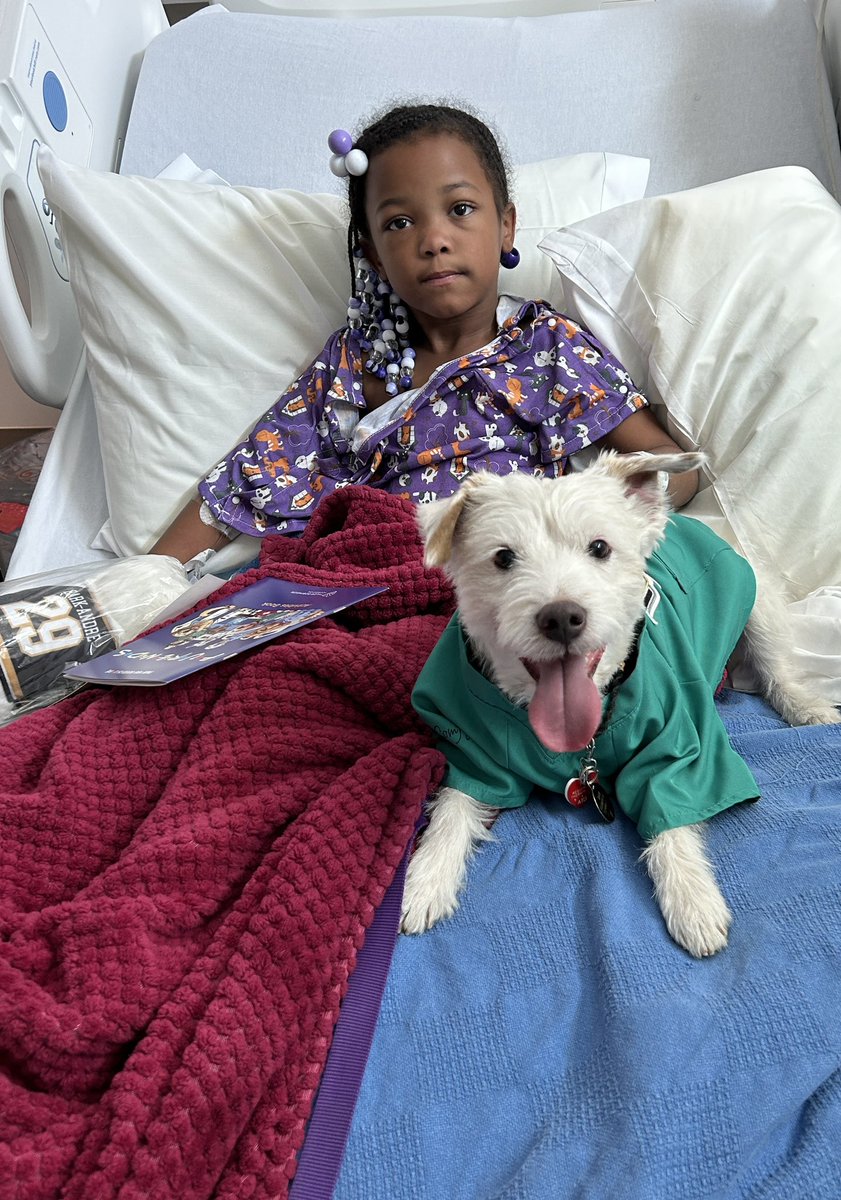 Today begins National Nurses Week! To celebrate I met with a team of nurses in the pediatric oncology unit, saw my friend Allie in PICU, and welcomed a new patient to Summerlin Hospital! Have a GREAT week everyone! ~ Deke🐾 #TherapyDog #NationalNursesWeek #PawYouNeedIsLove
