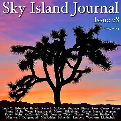 Sky Island Journal Spring 2024 features fresh new online poetry, flash fiction, and creative nonfiction from contributors around the globe. Read more at NewPages! #litmags #literarycommunity #readingcommunity @Sky1sland newpages.com/blog/magazines…